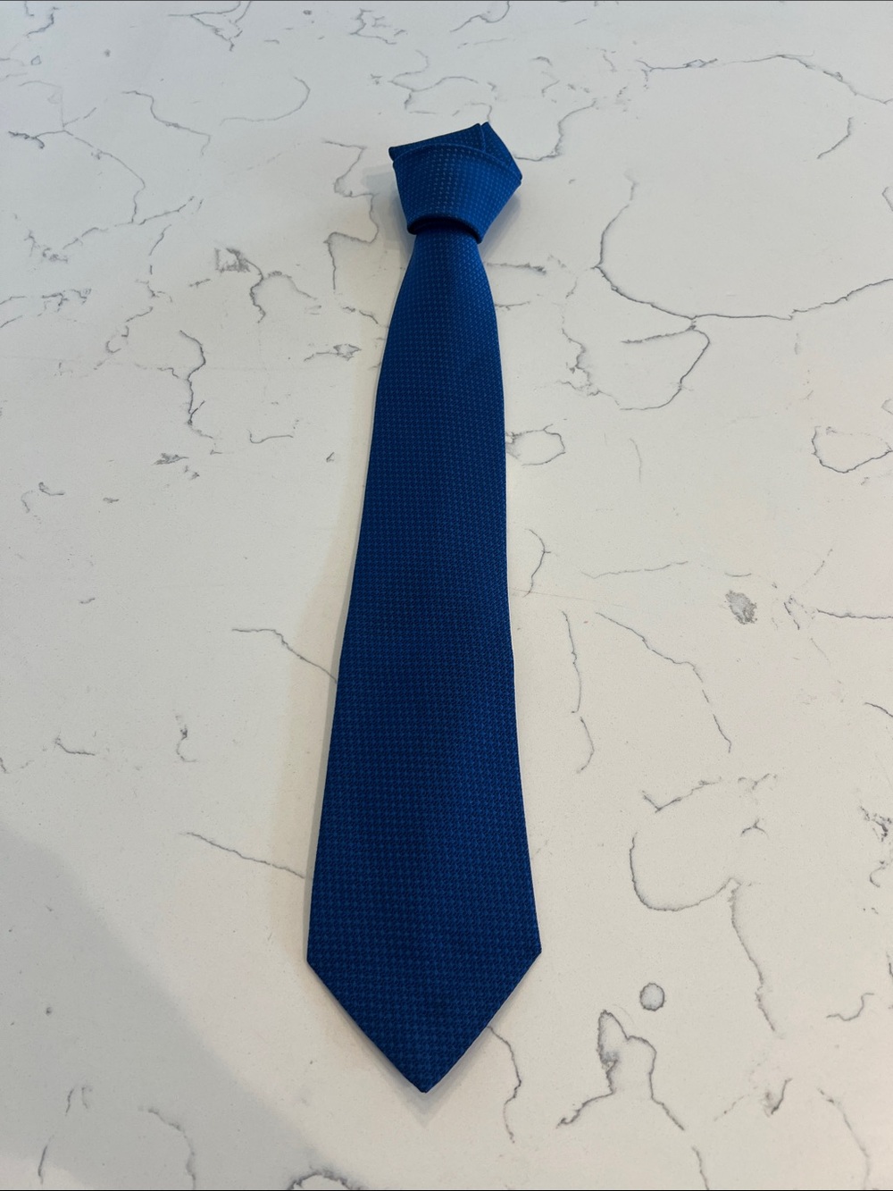 Barneys New York Royal Blue Textured Men's Tie